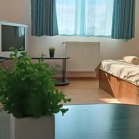 Vip In The Centre Апартаменты