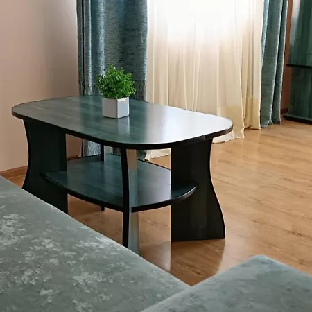 Vip In The Centre Апартаменты Мукачево