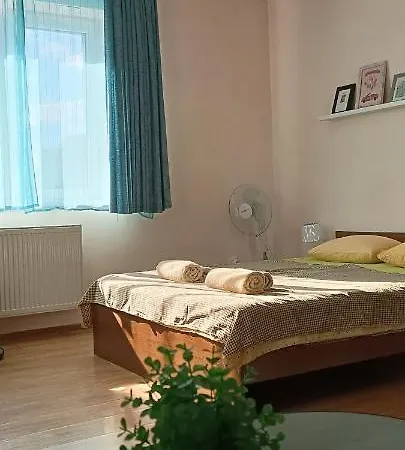 Vip In The Centre Апартаменты Мукачево