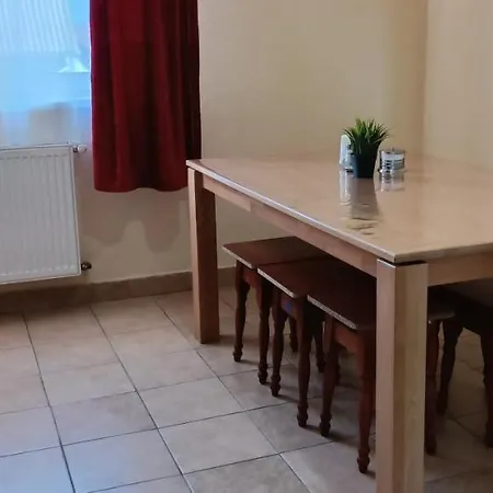 Cozy Two Apartment Mukacheve