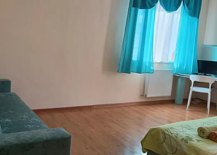 Cozy Two Apartment Mukacheve