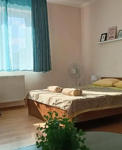 Cozy Two Apartment Mukacheve