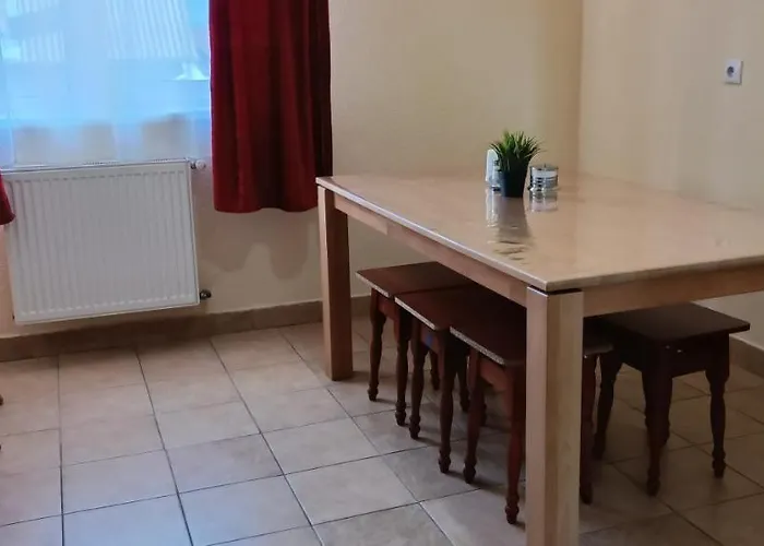 Cozy Two Apartment Mukacheve